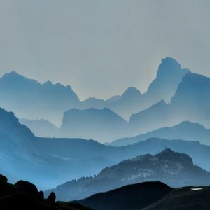 Meet your Posher, Quinn